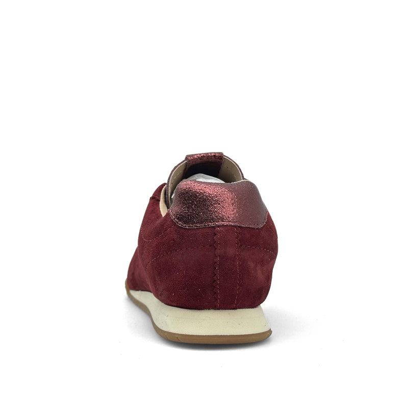 TULIP CDLW252937