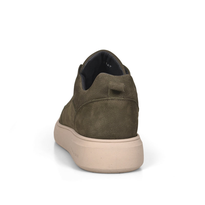 DR7 CDLM252147