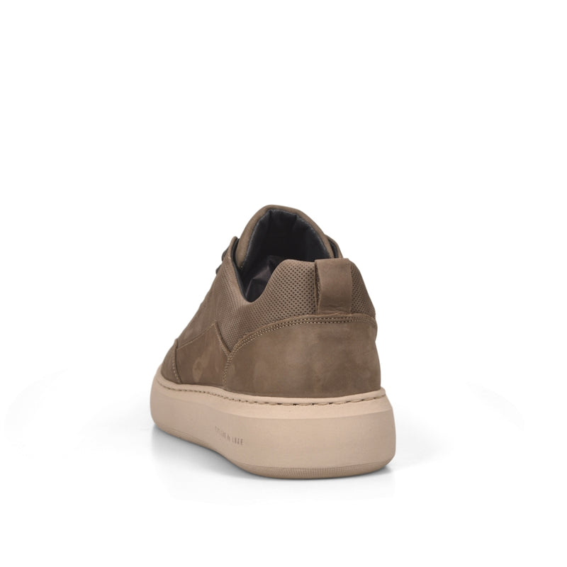 DRS7 CDLMX252153