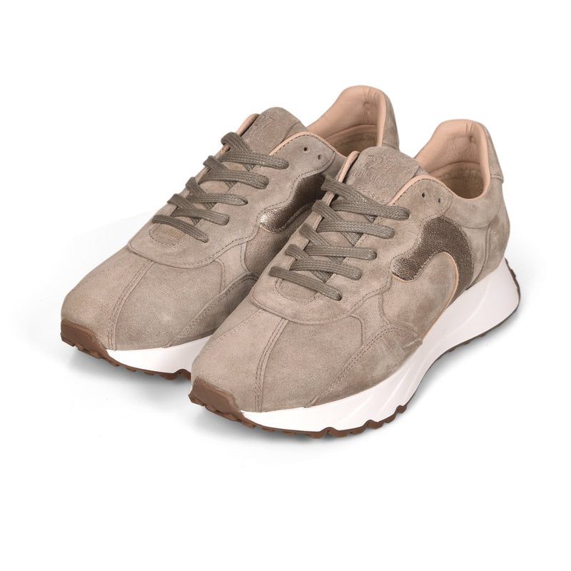 BACKIE CDLW252103