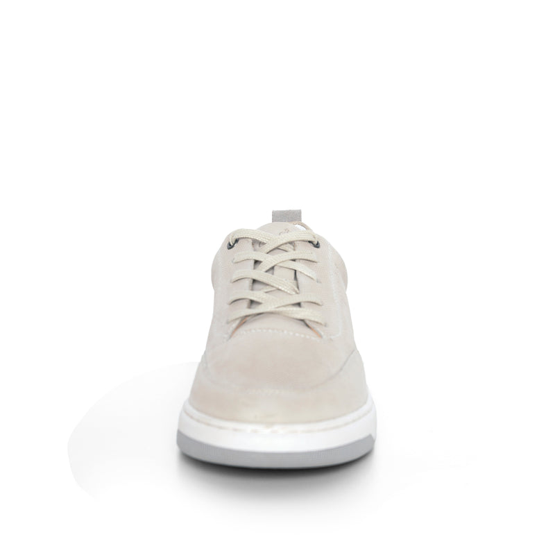 KAVERI CDLMI251331 – CYCLEUR de LUXE